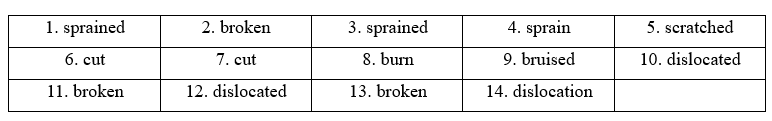 2.1. Vocabulary - Unit 2. Get well - SBT Tiếng Anh 11 English Discovery 3 1