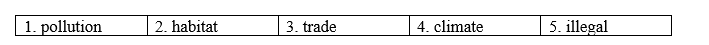 3c. Vocabulary - Unit 3. The Environment - SBT Tiếng Anh 8 Right on! 1 2