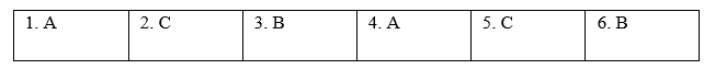 Reading - Unit 1. Leisure time - SBT Tiếng Anh 8 Global Success 1 1