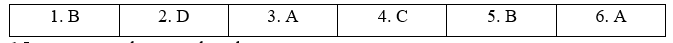 Tiếng Anh 11 Grammar Expansion Unit 1 1 1