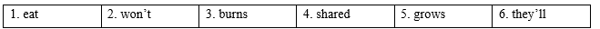 Tiếng Anh 9 Unit 5 Language focus: Conditionals - wish 2 1