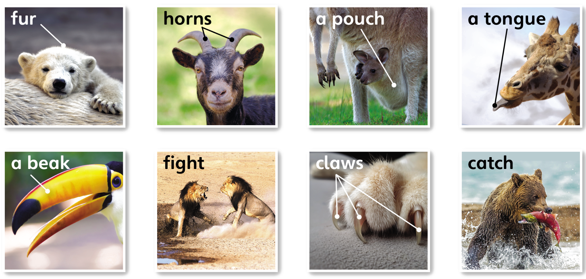 Tiếng anh lớp 5 Unit 1 lesson 5 trang 18 Explore Our World 1 1
