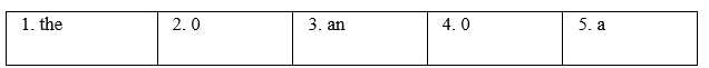Vocabulary & Grammar - Unit 5. Our customs and traditions - SBT Tiếng Anh 8 Global Success 3 1