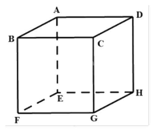 Đề thi học kì 1 Toán 12 Kết nối tri thức - Đề số 2 0 5