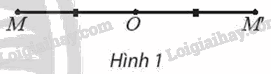 Giải mục 1 trang 20, 21 Chuyên đề học tập Toán 11 - Chân trời sáng tạo 0 1